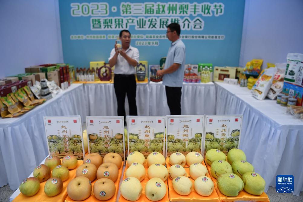 免费=彩金白菜网