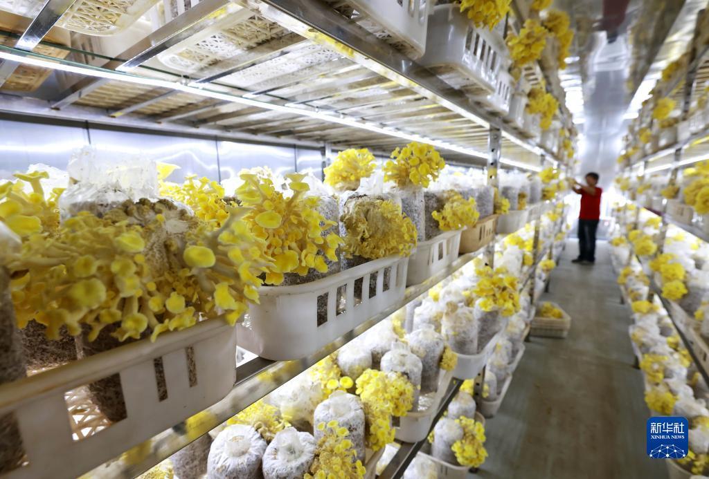 世爵用户登录平台